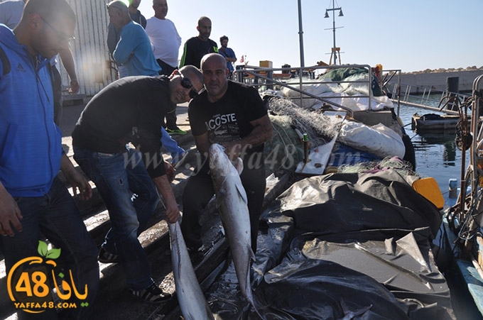 samak antayasa (19).JPG